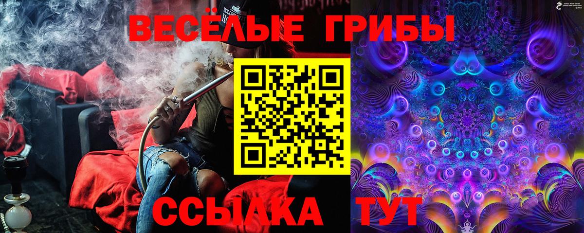 Псилоцибиновые грибы мицелий  Вход с VPN  Галлюциногенные грибы мухоморы  Выборг 