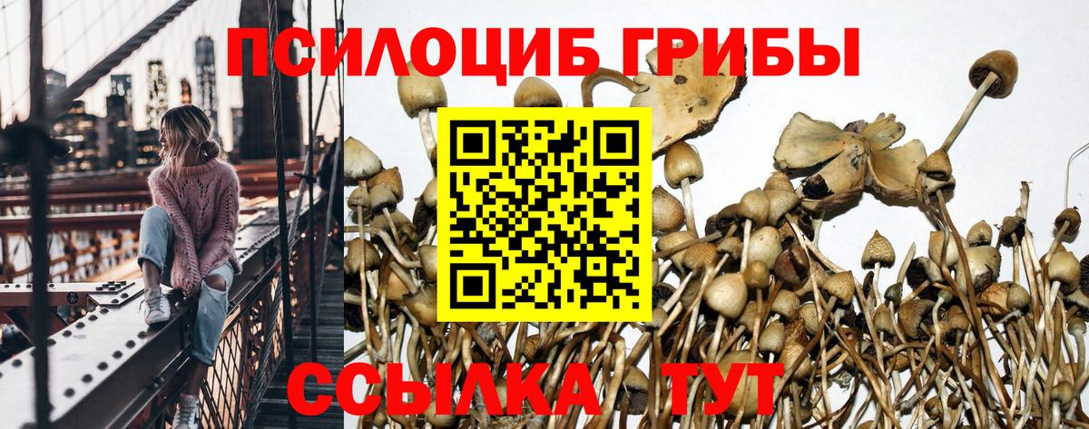 Галлюциногенные грибы Magic Shrooms Выборг